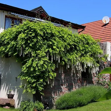 Holiday home Les 3 Ceps Bergholtz