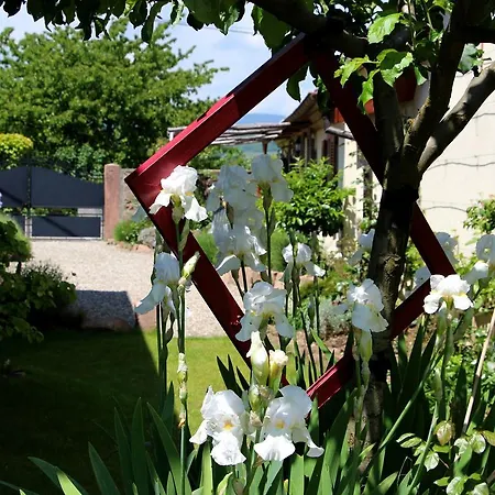 Casa vacanze Les 3 Ceps Bergholtz