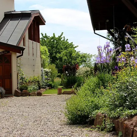 Les 3 Ceps Bergholtz