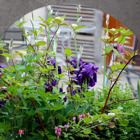 Les 3 Ceps Bergholtz