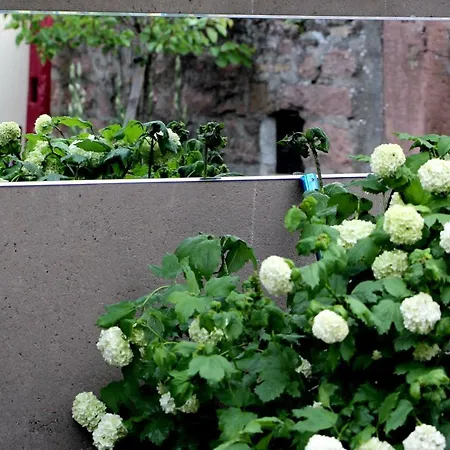 Les 3 Ceps * Bergholtz