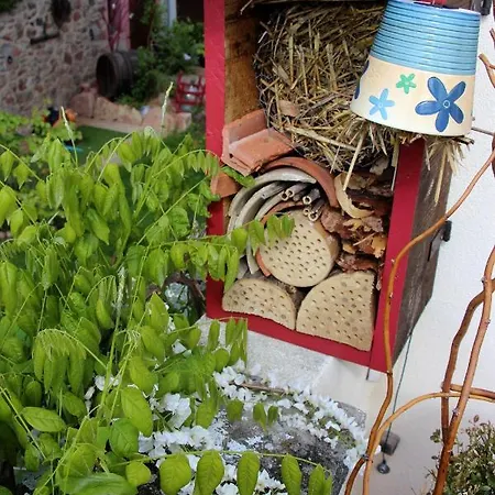 Les 3 Ceps Bergholtz